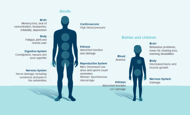 Infographic on the dangers of lead