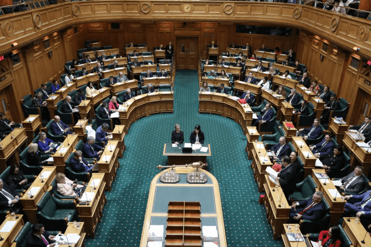 Members of parliament in chambers during debate